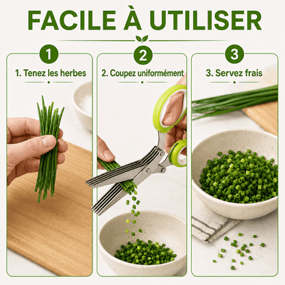 Ciseaux Coupe-Herbes 5 Lames – Découpe Rapide & Uniforme